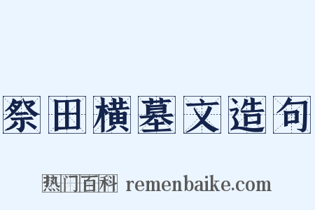 祭田横墓文造句是什么意思的图片